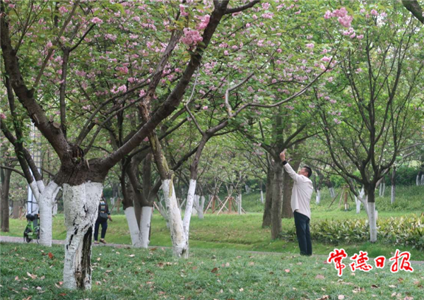 微信截图_20210330140637.png