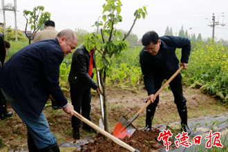 市政协开展义务植树活动