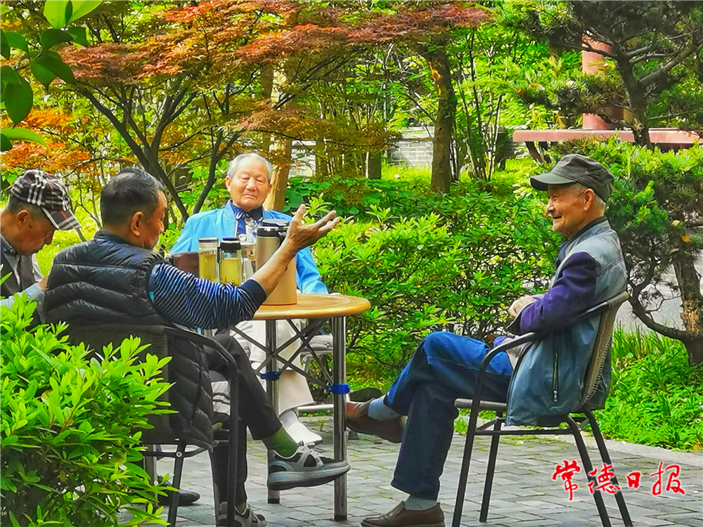 sj杨友如-茶侃人生-1.jpg