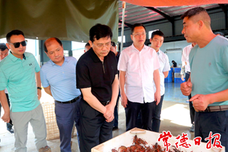 市领导赴安乡调研乡村振兴工作时要求：真正实现农业强、农村美、农民富