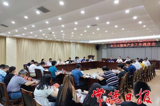 全市大健康产业链工作调度会召开