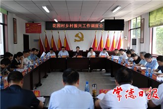 市领导赴花园村调研乡村振兴工作时提出：乡村文化振兴要贯彻健康生活理念