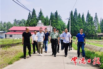 市领导在团结村调研乡村振兴工作时强调：落实各项措施 出实招干实事