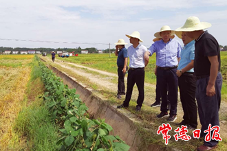全省水稻机收减损现场演示会筹备工作专题会议强调：抓好活动筹备 彰显常德作为