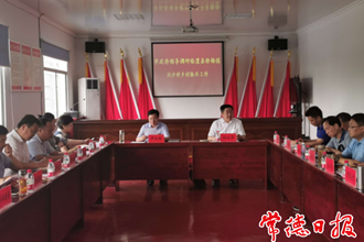 市领导赴临澧调研乡村振兴工作时强调：因地制宜做好村庄的布局和产业规划