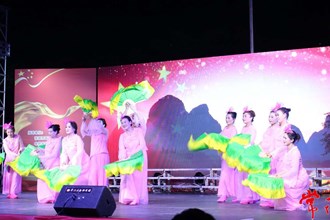 市社会组织联合会文艺晚会热闹喜庆