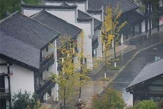 手机摄影┃“高新区杯▪发现常德之美”影像征集大赛第33期作品选登