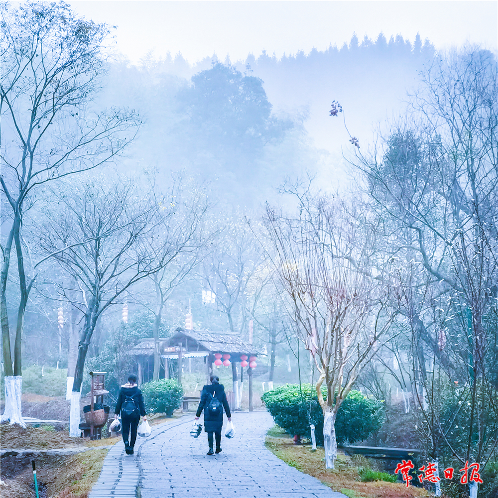 sj朱世奎-秦谷人家-2-1.jpg