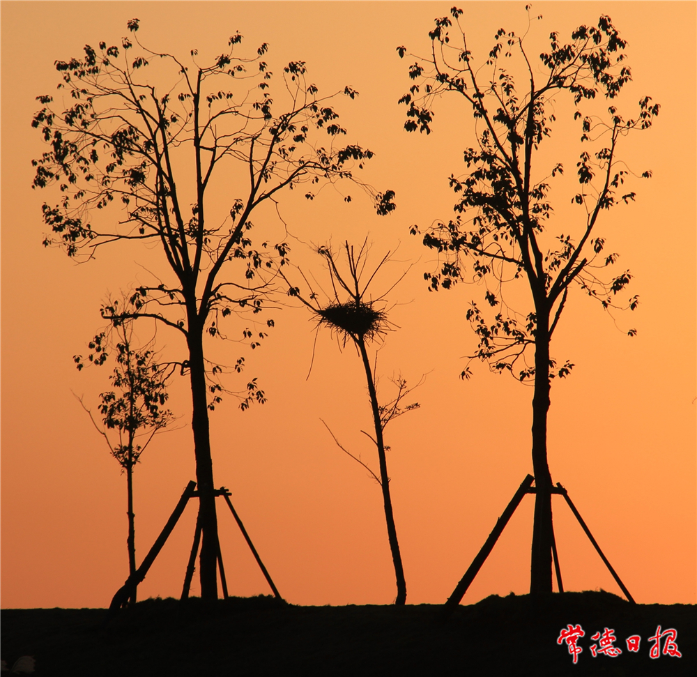 周先阳-温暖之家-1.jpg