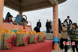 【经济】临澧刻木山乡园丰脐橙喜摘全省金奖