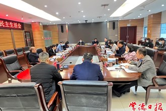市领导指导柳叶湖旅游度假区党工委班子民主生活会