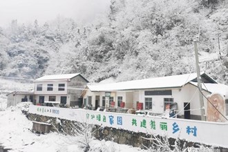 【澧县】瑞雪兆丰年