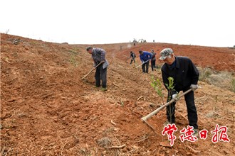 【社会】鼎城区蔡家岗镇：早动手 抢农时