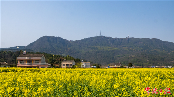 高长慈-太阳谷的春天-1.jpg