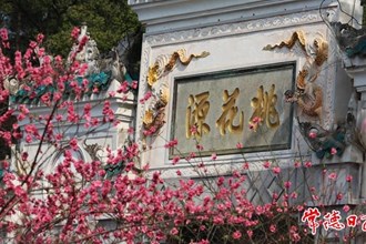 桃花源景区第三届国际花朝节本周启幕