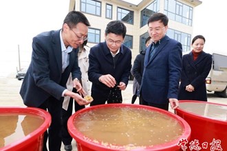 曹志强深入鼎城区调研春耕备耕、高标准农田建设工作