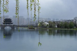【多图】春染柳湖（二）