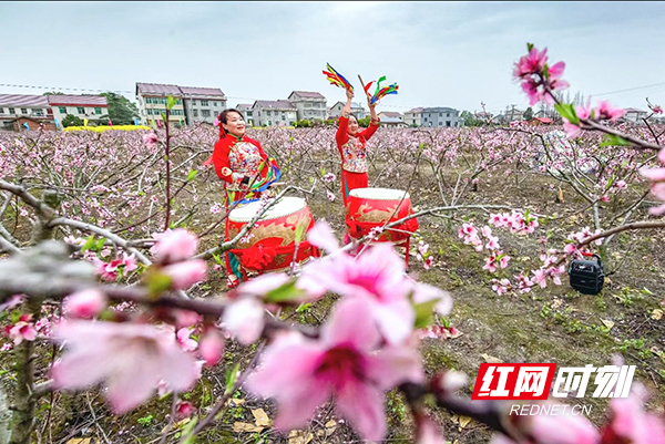 图片 5.jpg