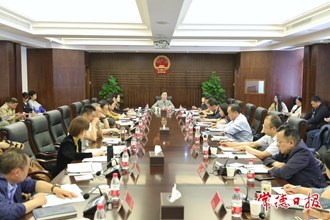 市领导调度桃花源文化旅游节筹备工作
