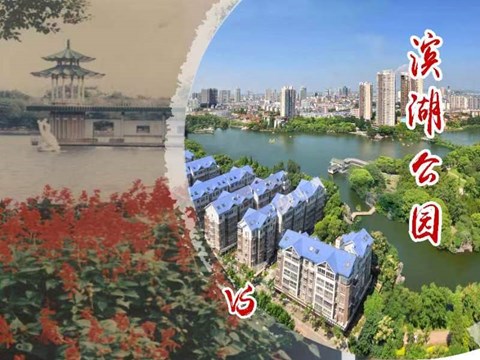 滨湖公园