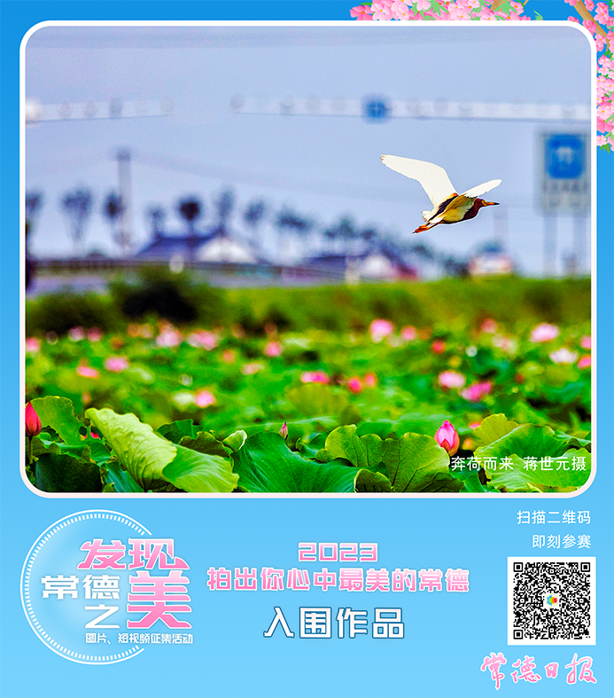 2c11de2a79ba4613a06f991fd041cab0.png