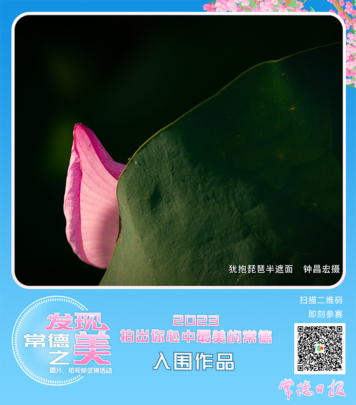 53ad1ae93c1f47239d6046ddd82868d6.png