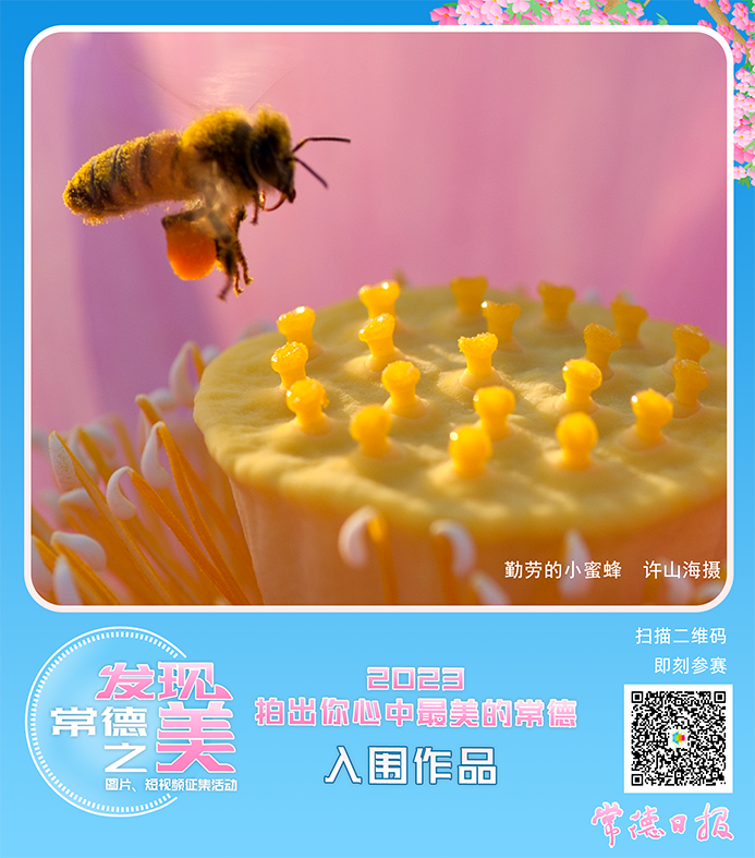 79b1cd684a1e4f00aee3a7ed1a8568cd.png