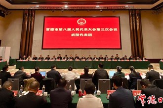 周振宇参加武陵代表团审议