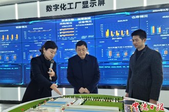 市领导开展安全生产督导检查