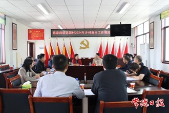 市领导到鼎城区蔡家岗镇调度乡村振兴工作