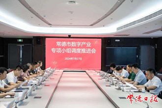 澳门金沙博彩娱乐平台数字产业专项小组调度推进会召开