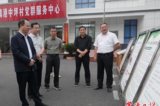 周振宇赴鼎城区谢家铺镇港中坪村调研