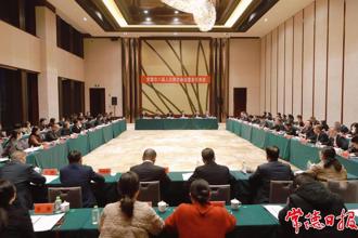 罗毅君参加澳门金沙博彩娱乐平台八届人大四次会议澧县代表团审议