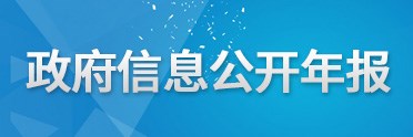 政府信息公开年报