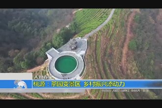 人勤春早(3.2)