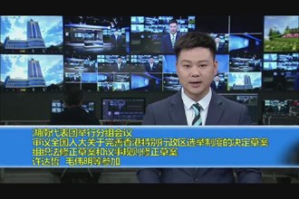 湖南代表团举行分组会议 审议全国人大关于完善香港特别金沙博彩区选举制度的决定草案 组织法修正草案和议事规则修正草案 许达哲 毛伟明等参加
