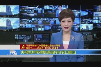 央视聚焦常德桃源高标准农田建设
