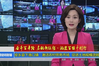 安乡县下渔口镇：激活农村劳务市场 促进土地规模流转