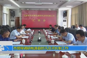 市领导调研桃源县防汛及河长制工作