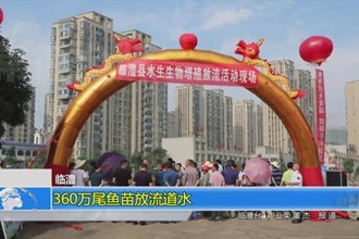 临澧：360万尾鱼苗放流道水