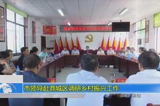 市领导赴鼎城区调研乡村振兴工作