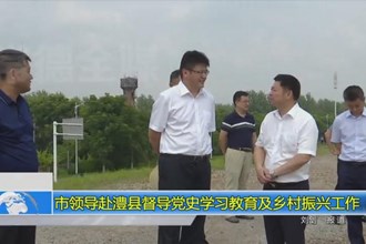 市领导赴澧县督导党史学习教育及乡村振兴工作