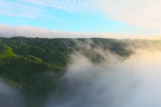 石门：网格化管理守好生态绿