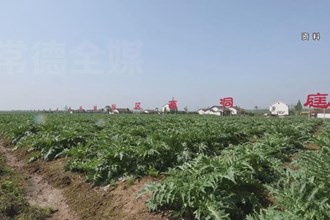 国家农业科技园区建设为乡村振兴插上“科技之翼”