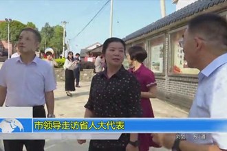 市领导走访省人大代表