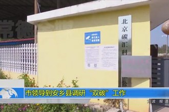 市领导到安乡县调研“双碳”工作