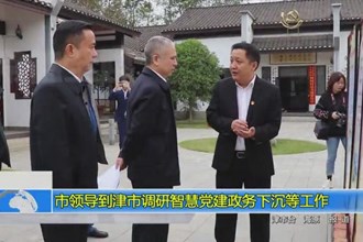 市领导到津市调研智慧党建政务下沉等工作