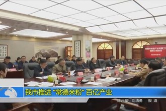 我市推进“常德米粉”百亿产业