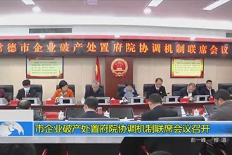 市企业破产处置府院协调机制联席会议召开