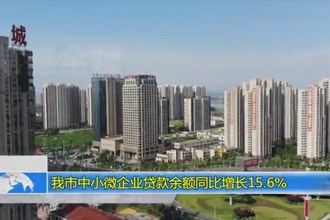 澳门金沙博彩娱乐平台中小微企业贷款余额同比增长15.6%